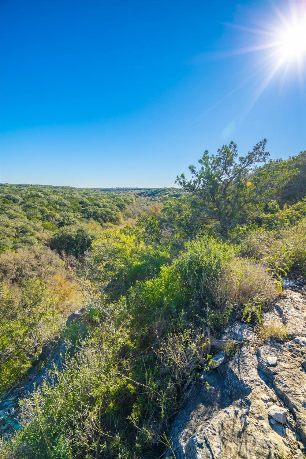 Quail Run Drive San Marcos, TX 78666