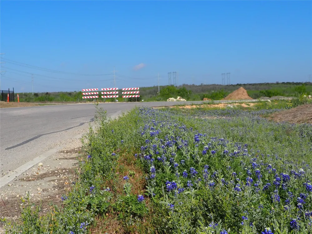 Candide Lane Kyle, TX 78640