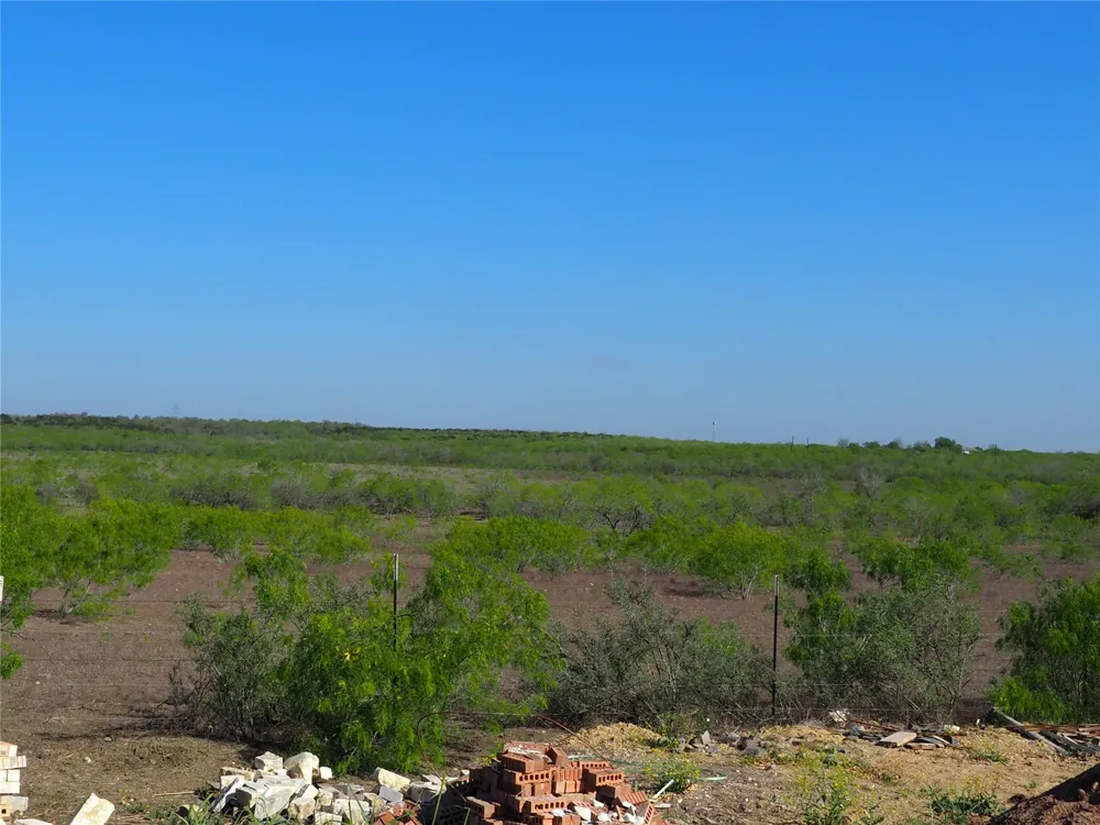 Candide Lane Kyle, TX 78640
