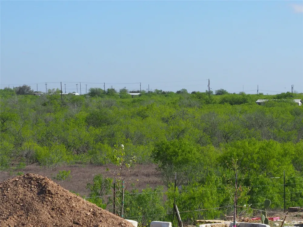 Candide Lane Kyle, TX 78640