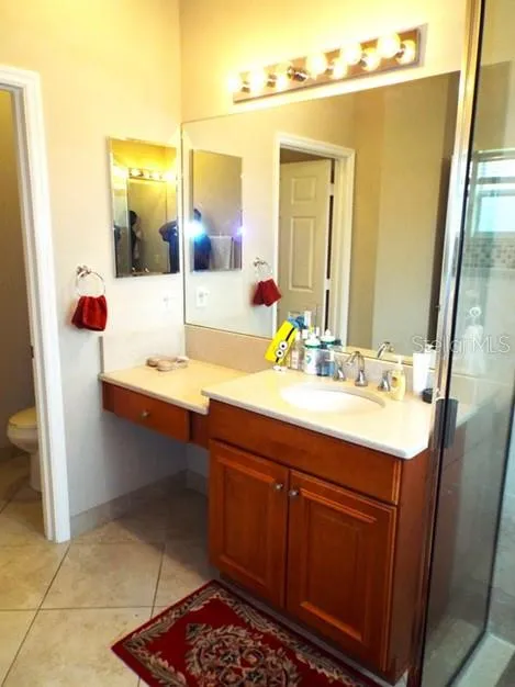 15628 AURORA LAKE CIRCLE Wimauma, FL 33598