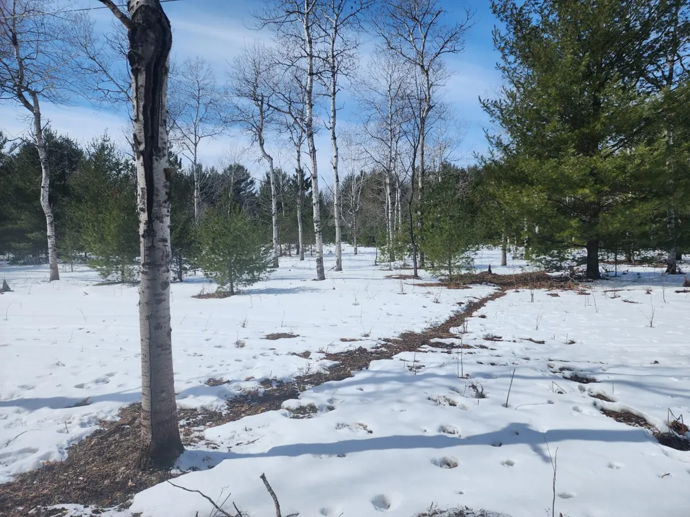Hall Creek Road Interlochen, MI 49643