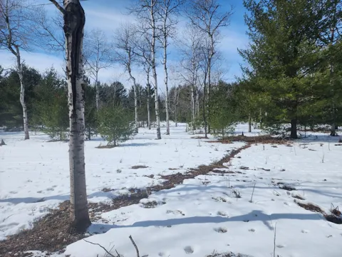 Hall Creek Road