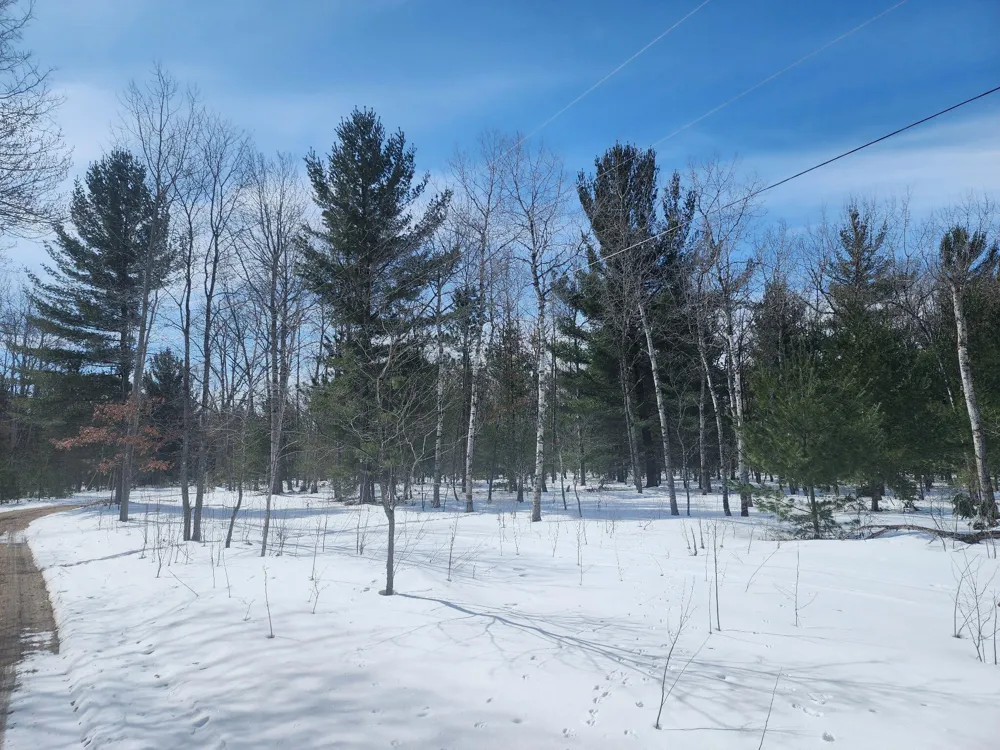 Hall Creek Road Interlochen, MI 49643