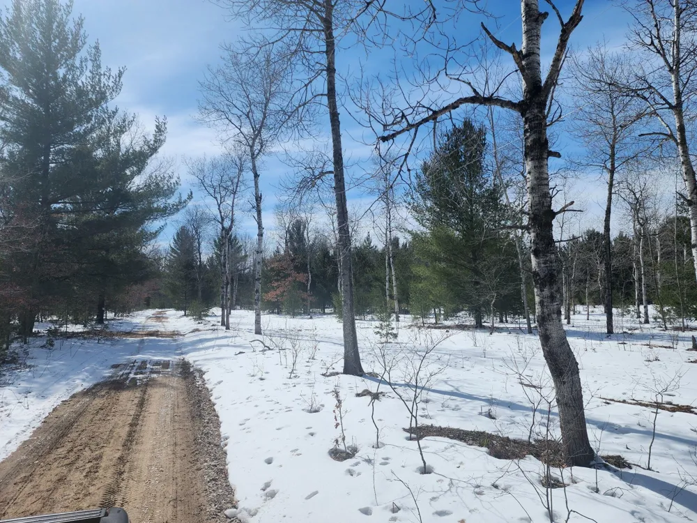 Hall Creek Road Interlochen, MI 49643