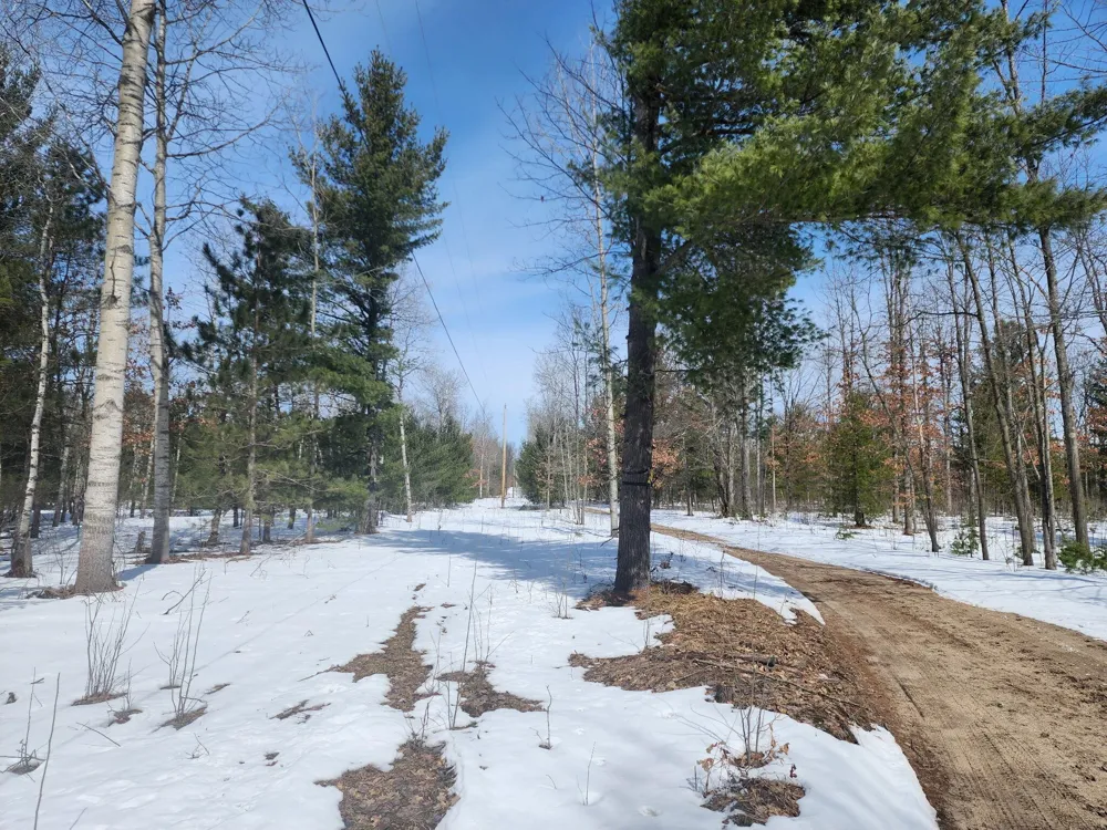Hall Creek Road Interlochen, MI 49643