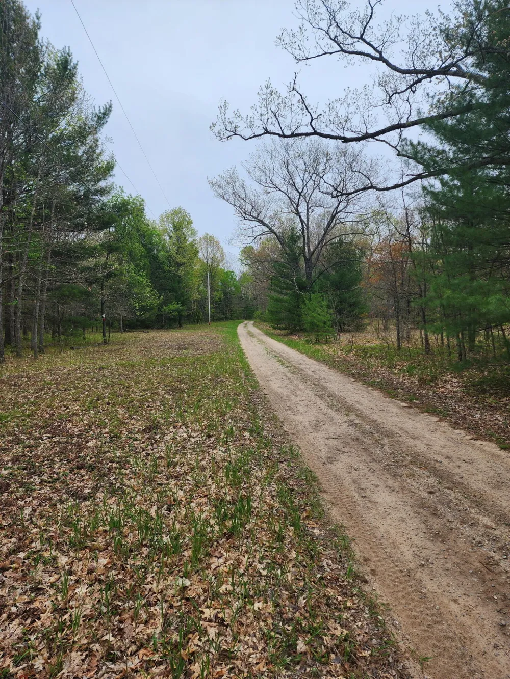 Hall Creek Road Interlochen, MI 49643