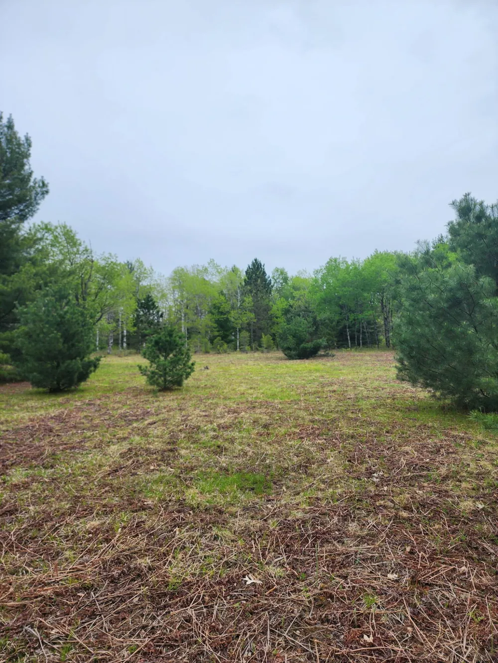 Hall Creek Road Interlochen, MI 49643