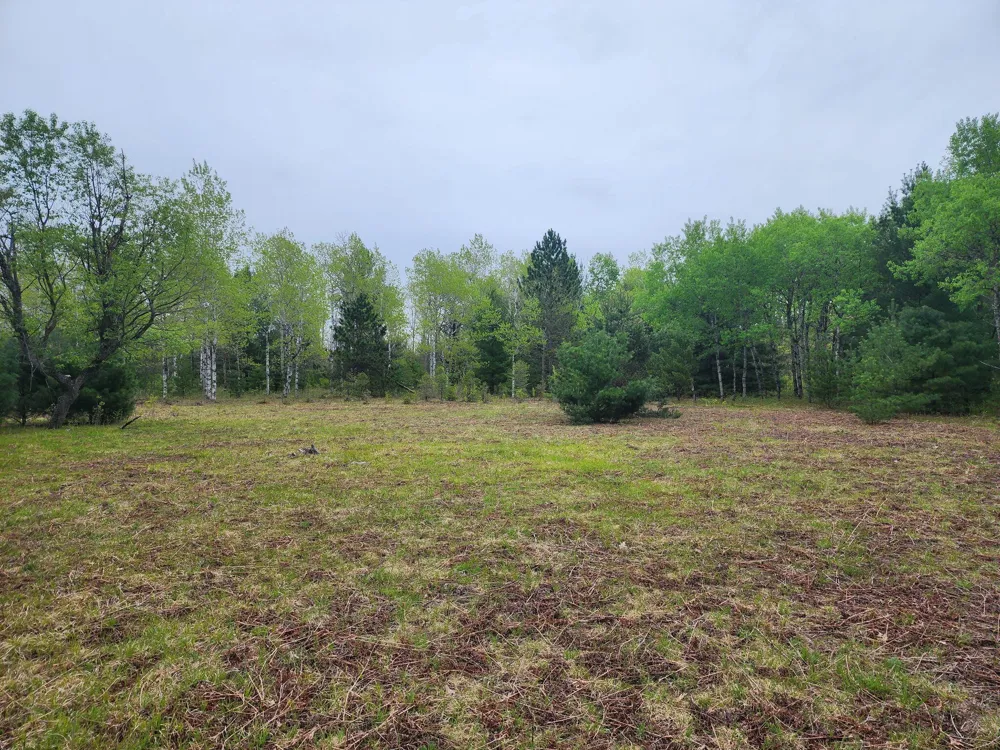 Hall Creek Road Interlochen, MI 49643