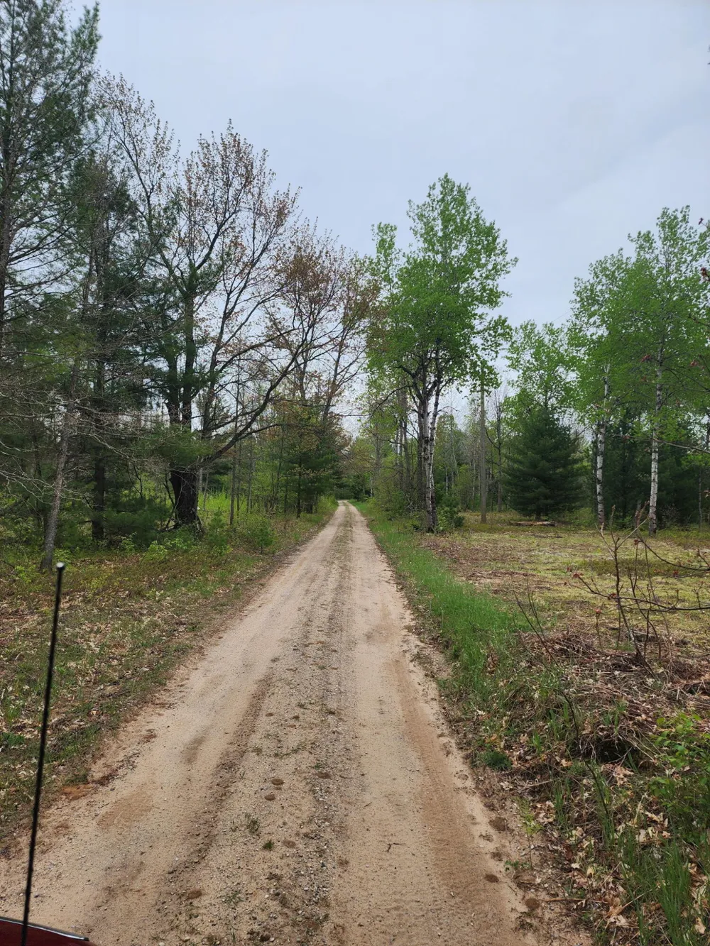 Hall Creek Road Interlochen, MI 49643