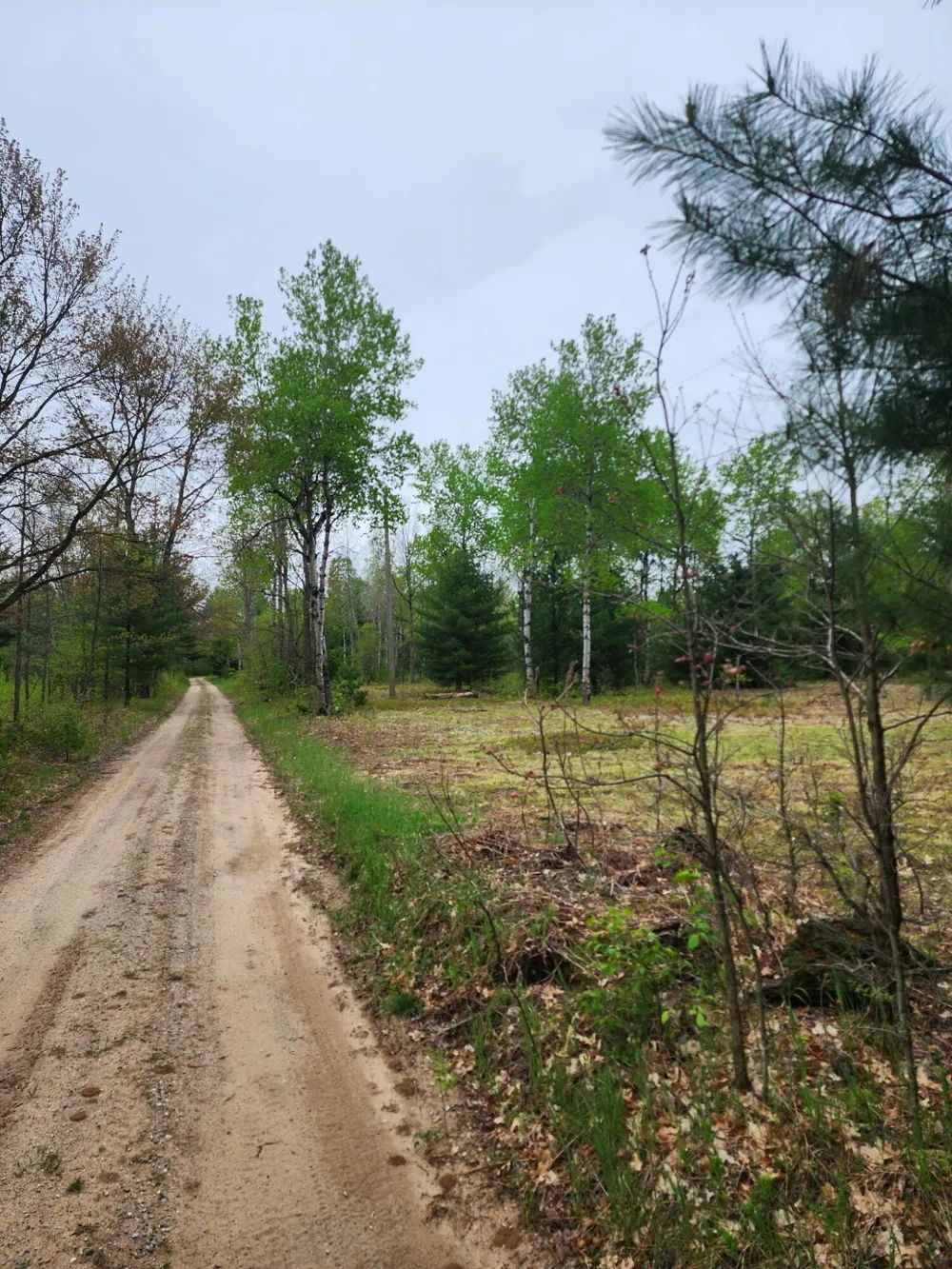Hall Creek Road Interlochen, MI 49643