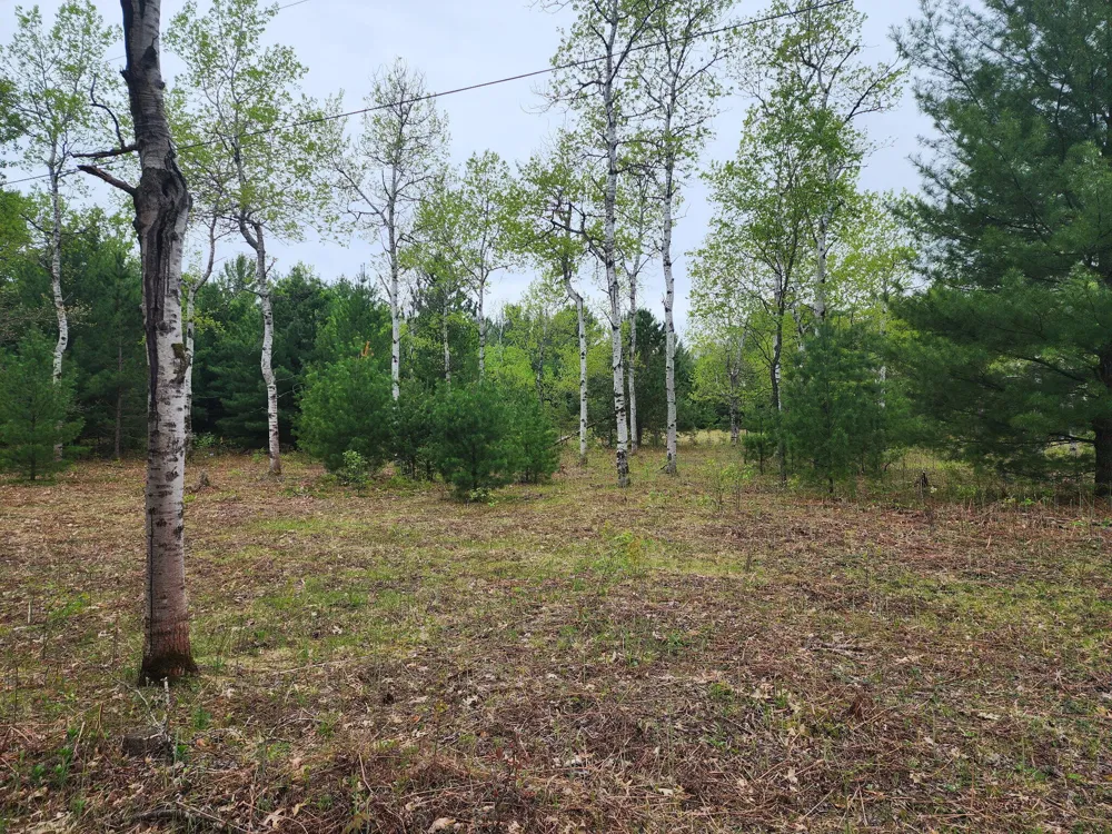 Hall Creek Road Interlochen, MI 49643