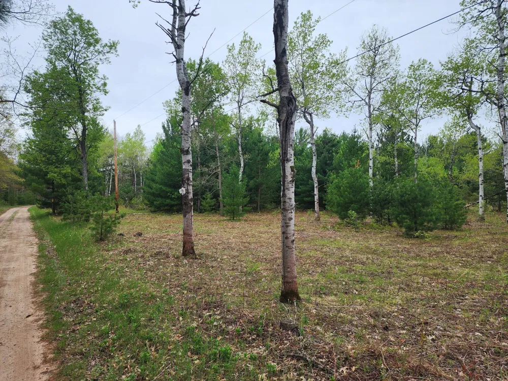 Hall Creek Road Interlochen, MI 49643