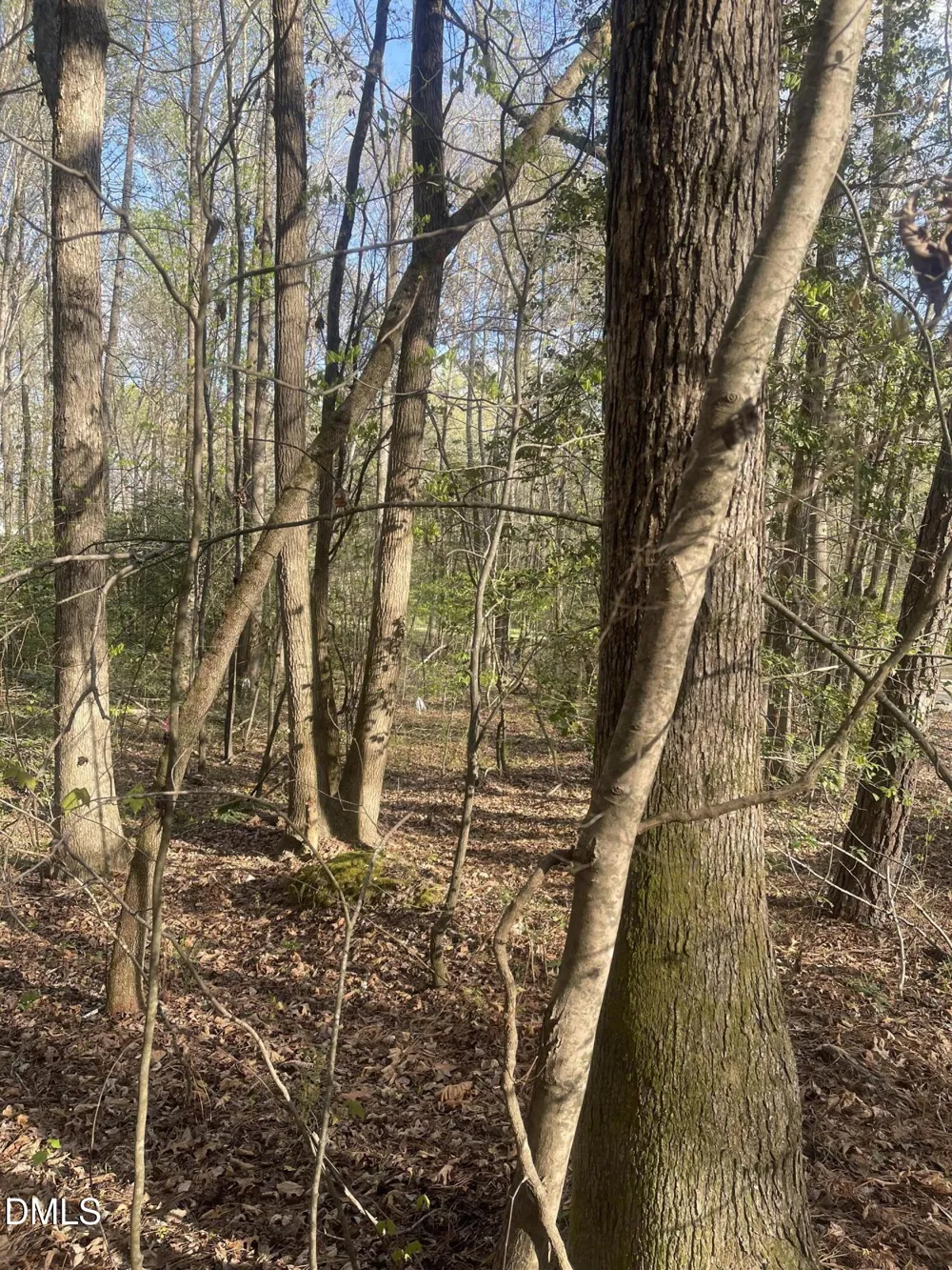 0 Ed Lane Carthage, NC 28327