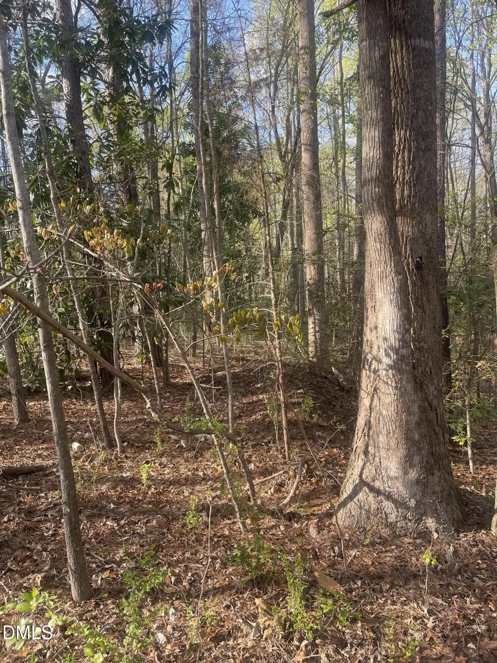 0 Ed Lane Carthage, NC 28327
