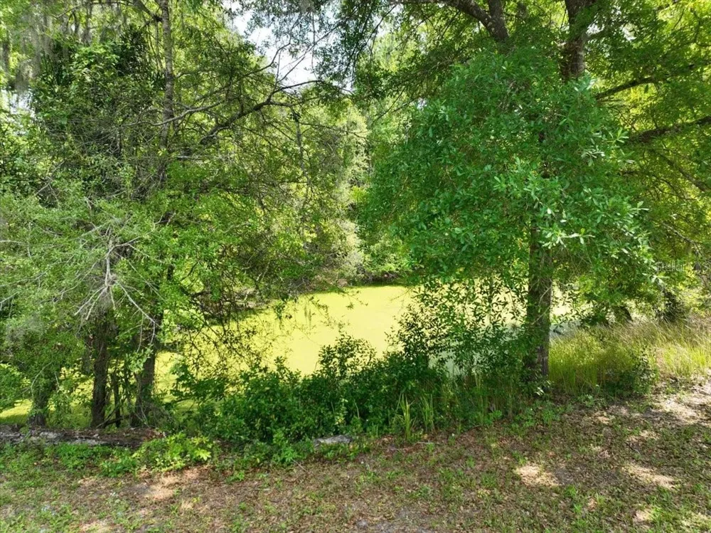 1415 WABASH AVENUE Lakeland, FL 33805