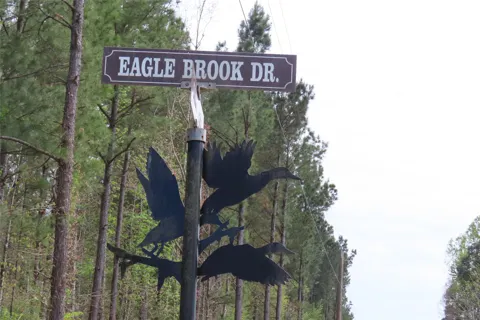 Eagle Brook