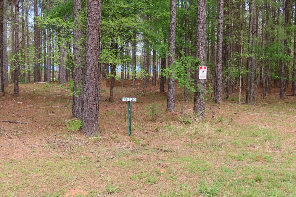 Eagle Brook Lewisville, AR 71845