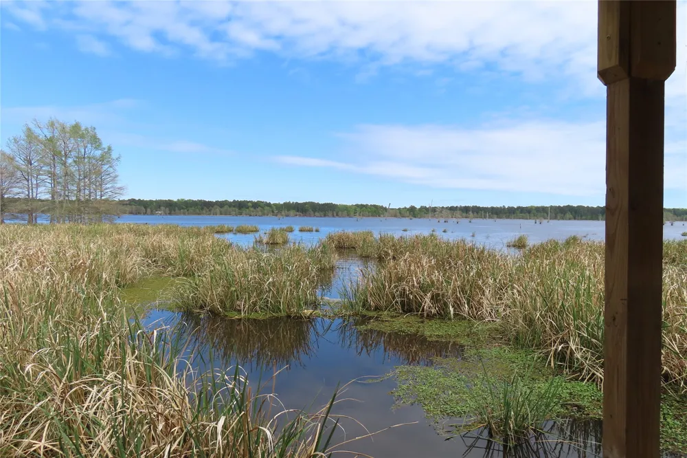Eagle Brook Lewisville, AR 71845
