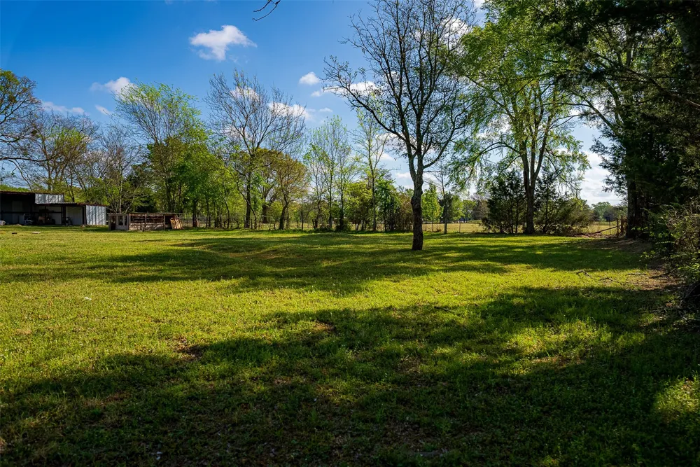 10813 Fm 773 Ben Wheeler, TX 75754