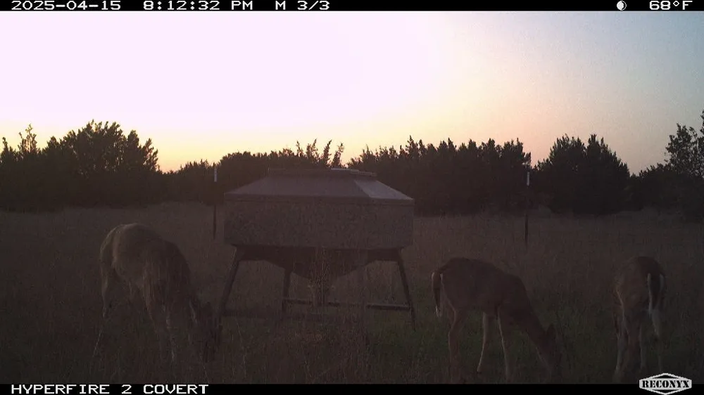11439 Fm 1602 A Jonesboro, TX 76538