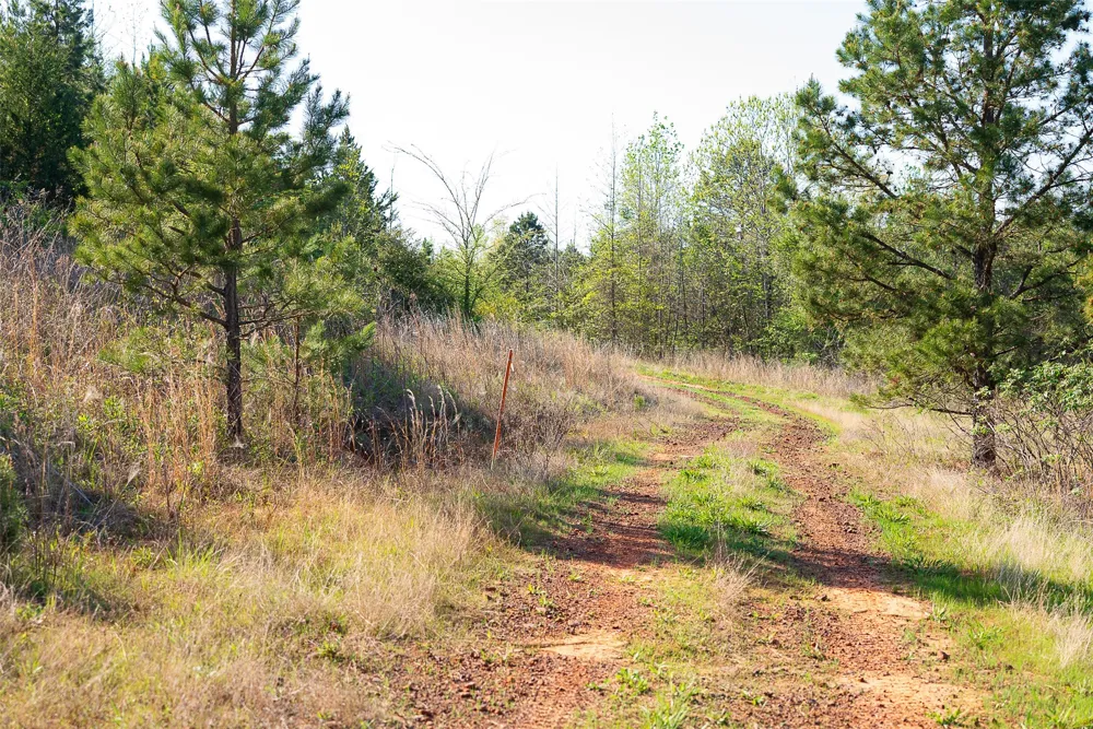 923 W Main St Ore City, TX 75683