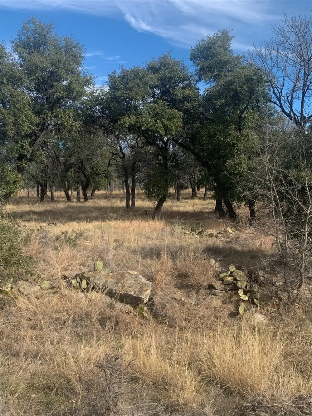 277 Vista Pointe Drive Chico, TX 76431