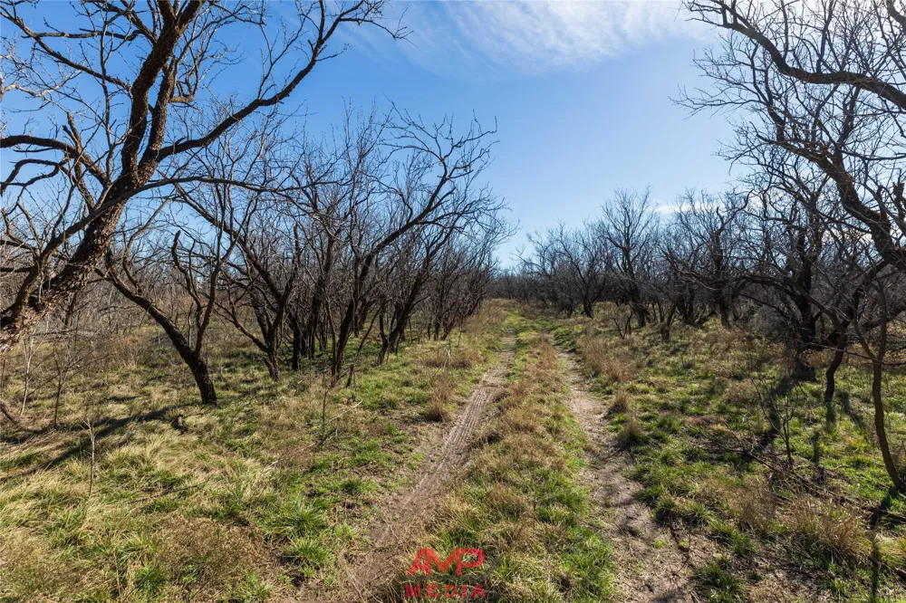 County Road 260 Avoca, TX 79503