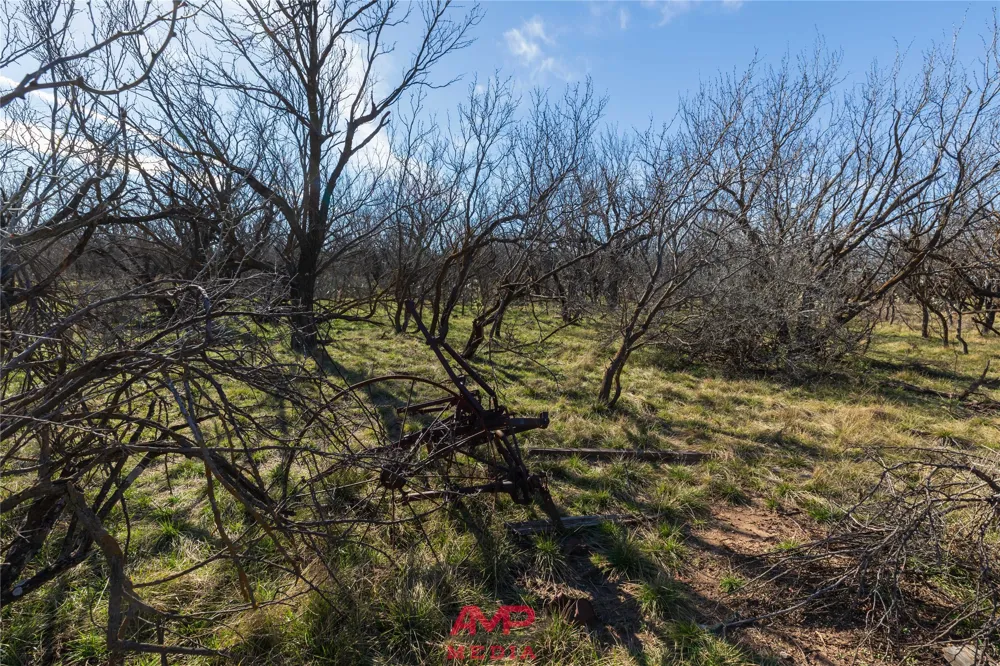 County Road 260 Avoca, TX 79503