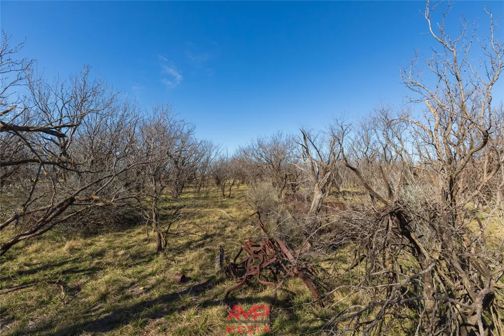 County Road 260 Avoca, TX 79503