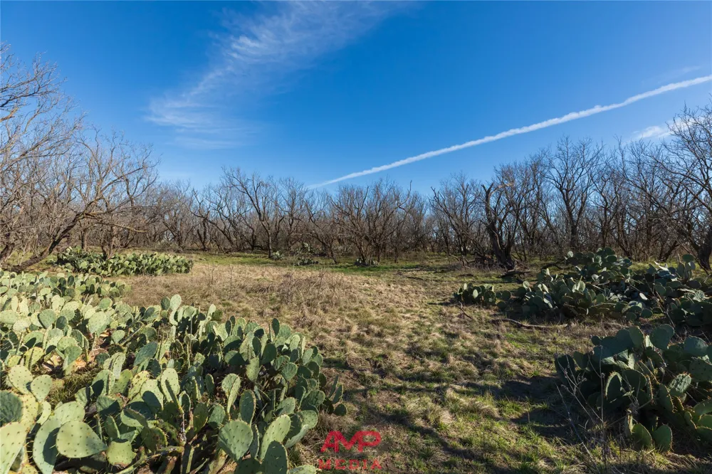 County Road 260 Avoca, TX 79503