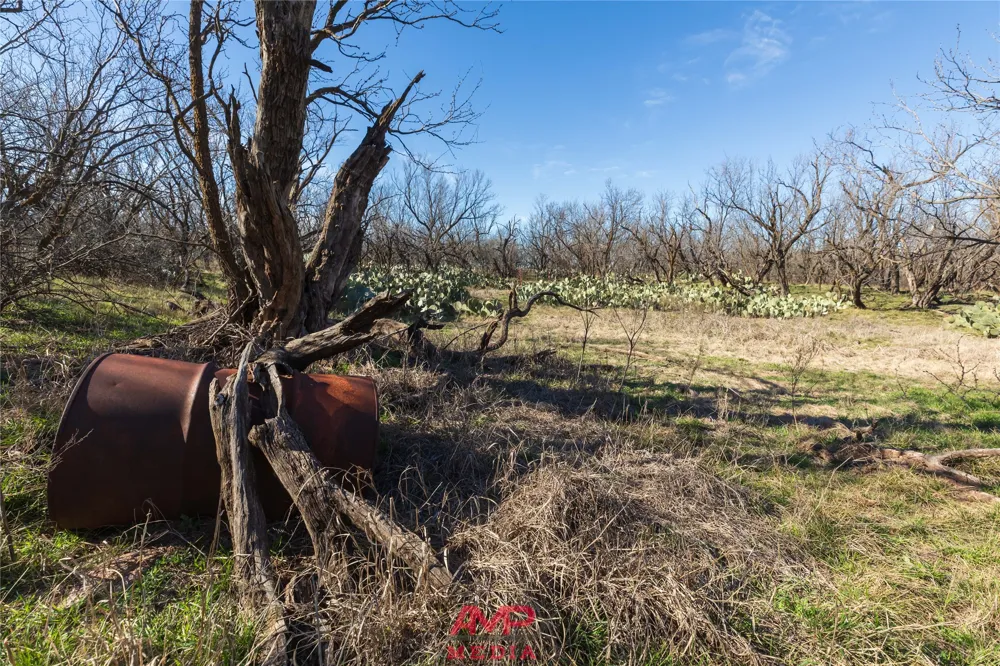 County Road 260 Avoca, TX 79503