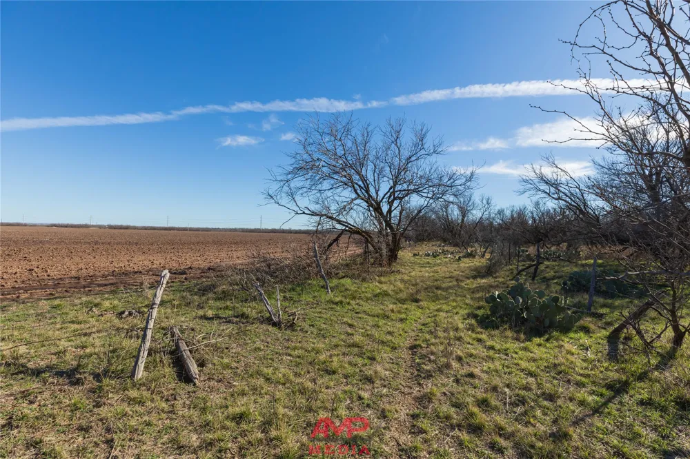 County Road 260 Avoca, TX 79503