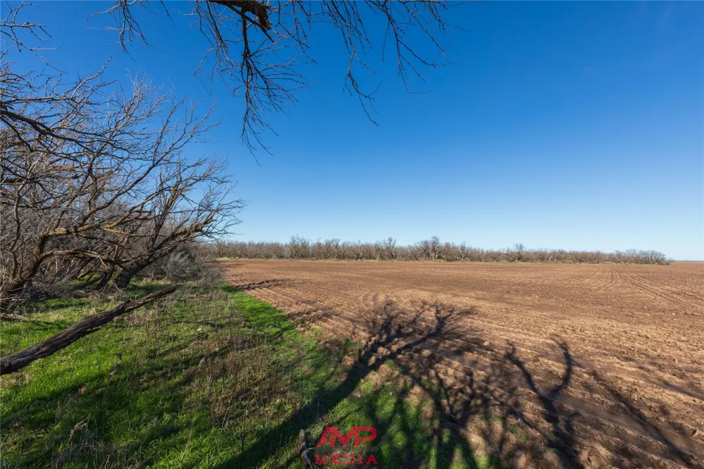 County Road 260 Avoca, TX 79503
