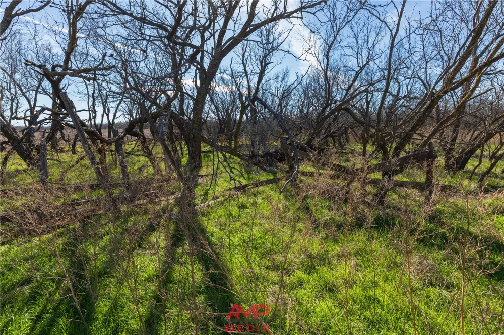 County Road 260 Avoca, TX 79503