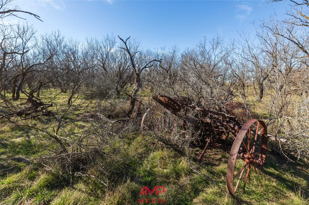 County Road 260 Avoca, TX 79503