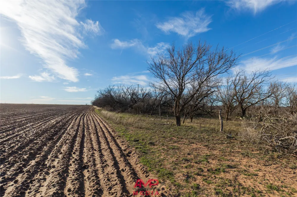County Road 260 Avoca, TX 79503