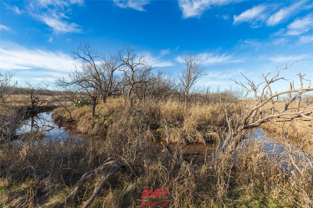 County Road 260 Avoca, TX 79503