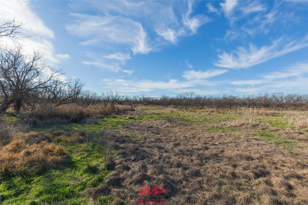 County Road 260 Avoca, TX 79503