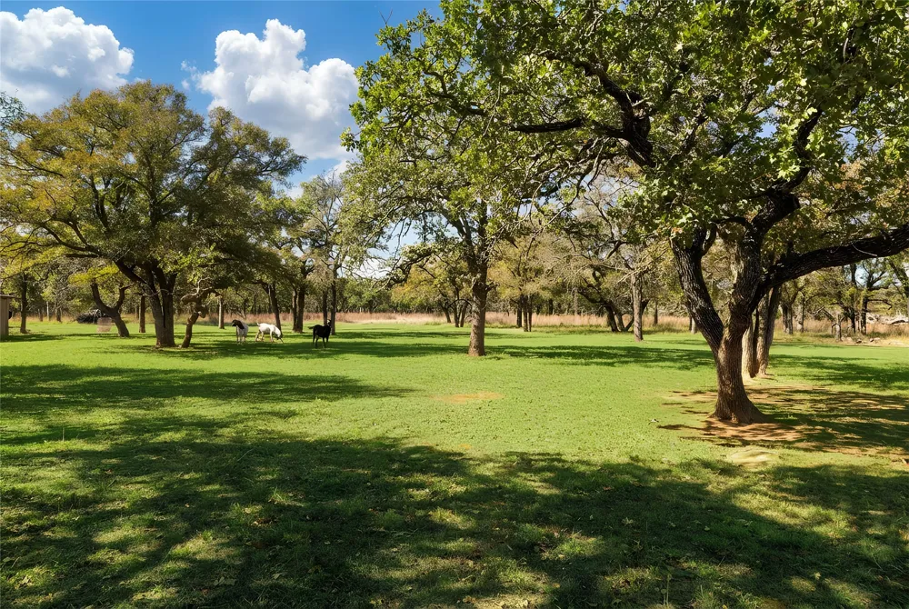 970 Live Oak Road Santo, TX 76472