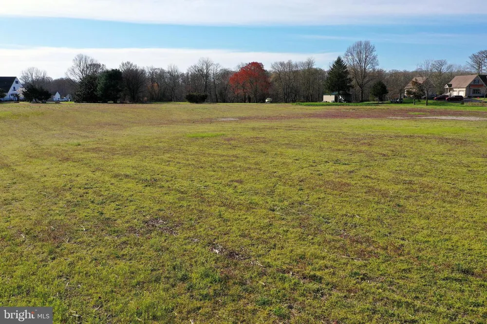 PEACH ORCHARD Pocomoke, MD 21851