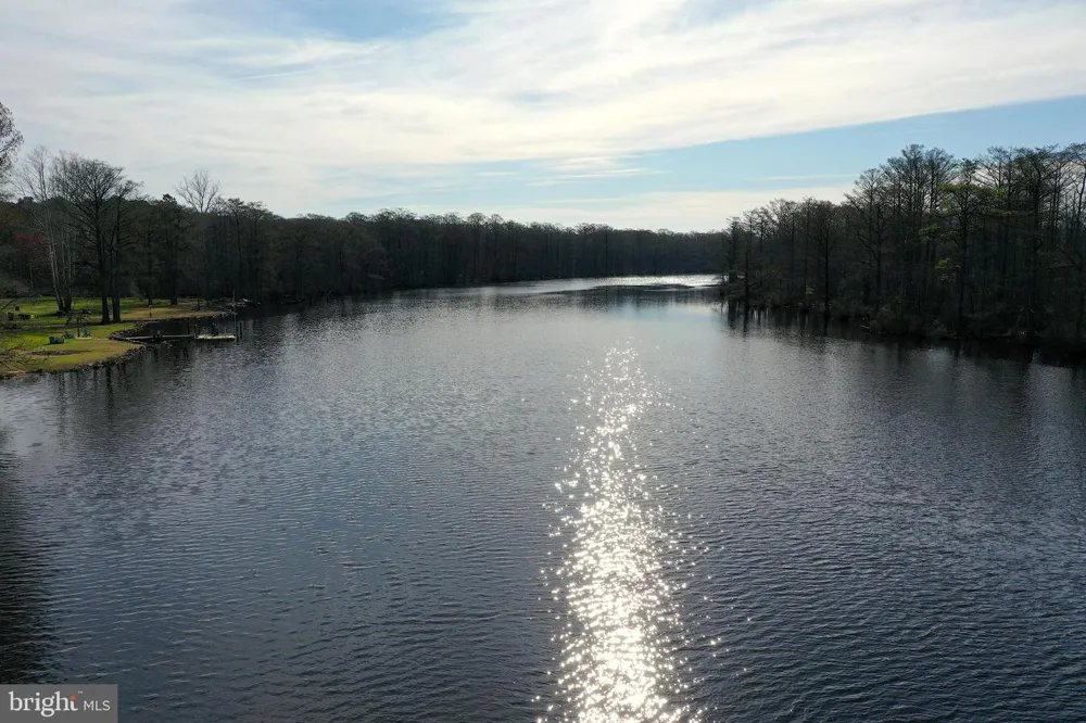 PEACH ORCHARD Pocomoke, MD 21851