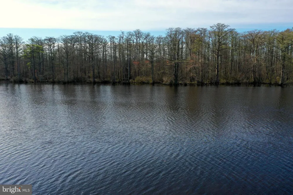 PEACH ORCHARD Pocomoke, MD 21851