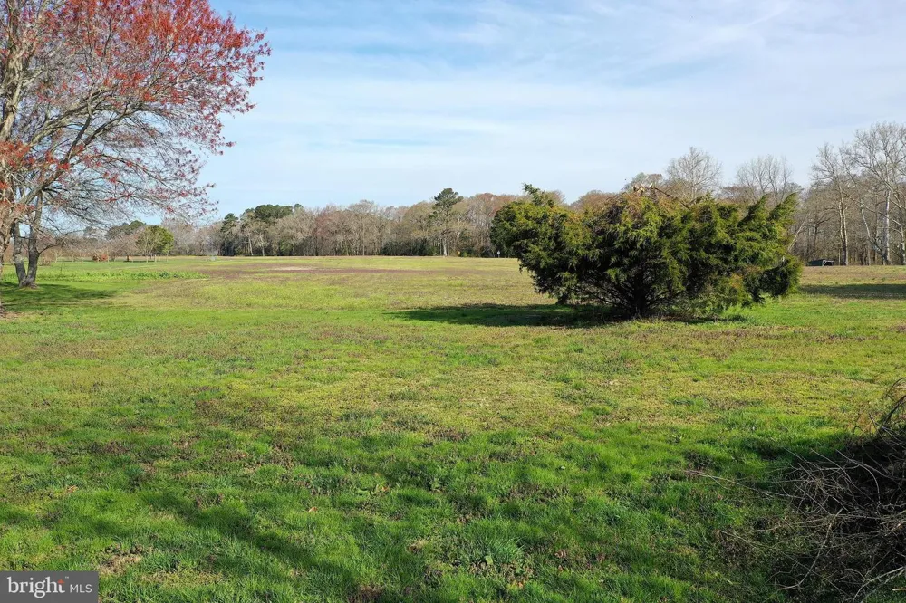 PEACH ORCHARD Pocomoke, MD 21851
