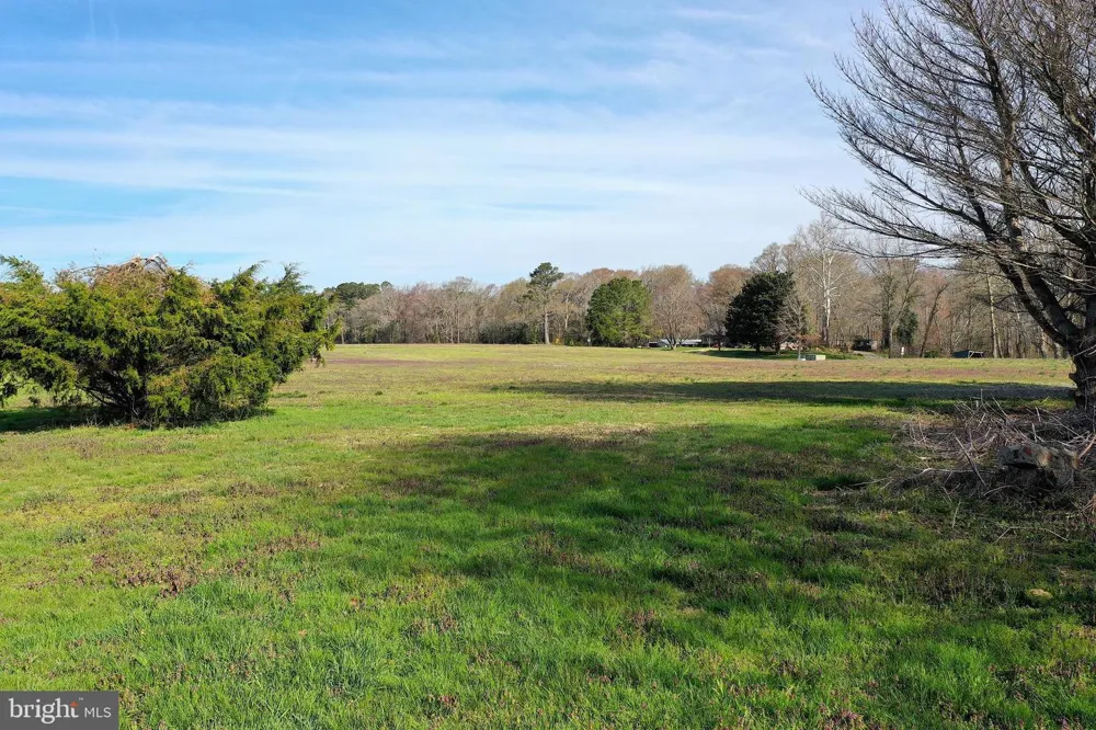 PEACH ORCHARD Pocomoke, MD 21851