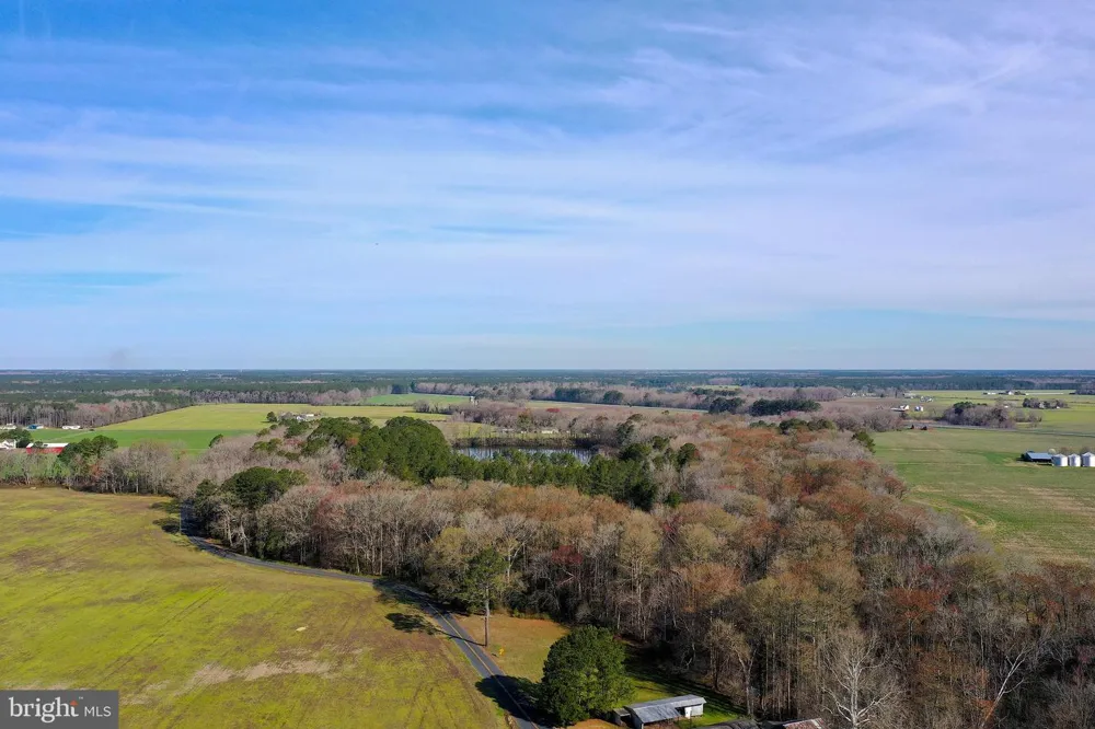 PEACH ORCHARD Pocomoke, MD 21851