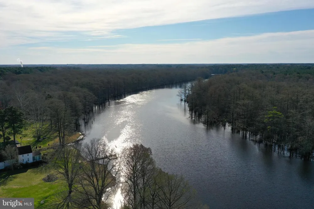 PEACH ORCHARD Pocomoke, MD 21851