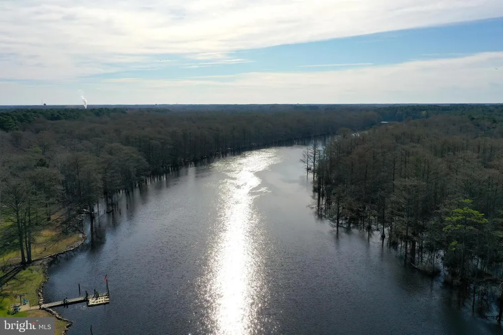 PEACH ORCHARD Pocomoke, MD 21851