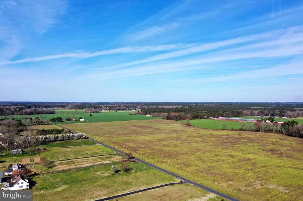 PEACH ORCHARD Pocomoke, MD 21851