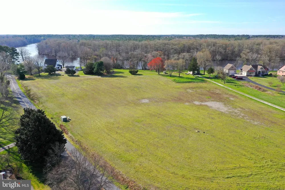 PEACH ORCHARD Pocomoke, MD 21851